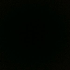 Meet your Posher, Ivette